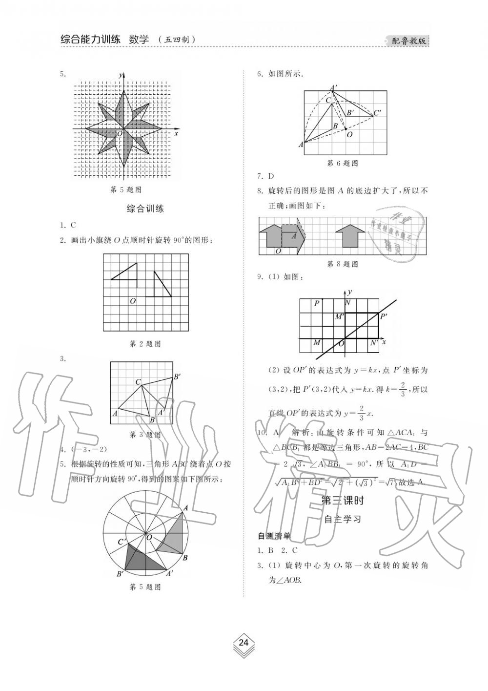 2019年综合能力训练八年级数学上册鲁教版五四制 第25页