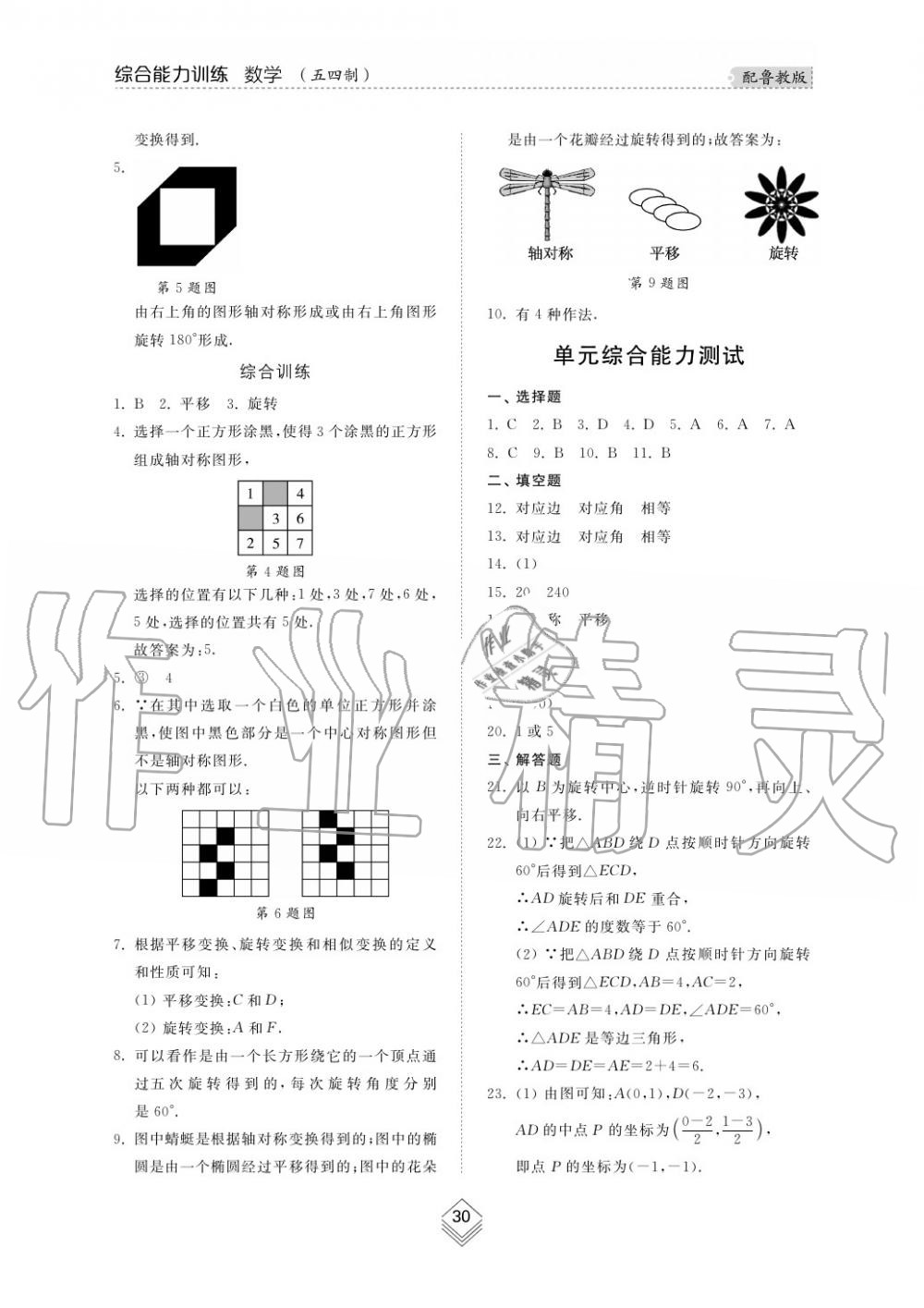 2019年综合能力训练八年级数学上册鲁教版五四制 第31页