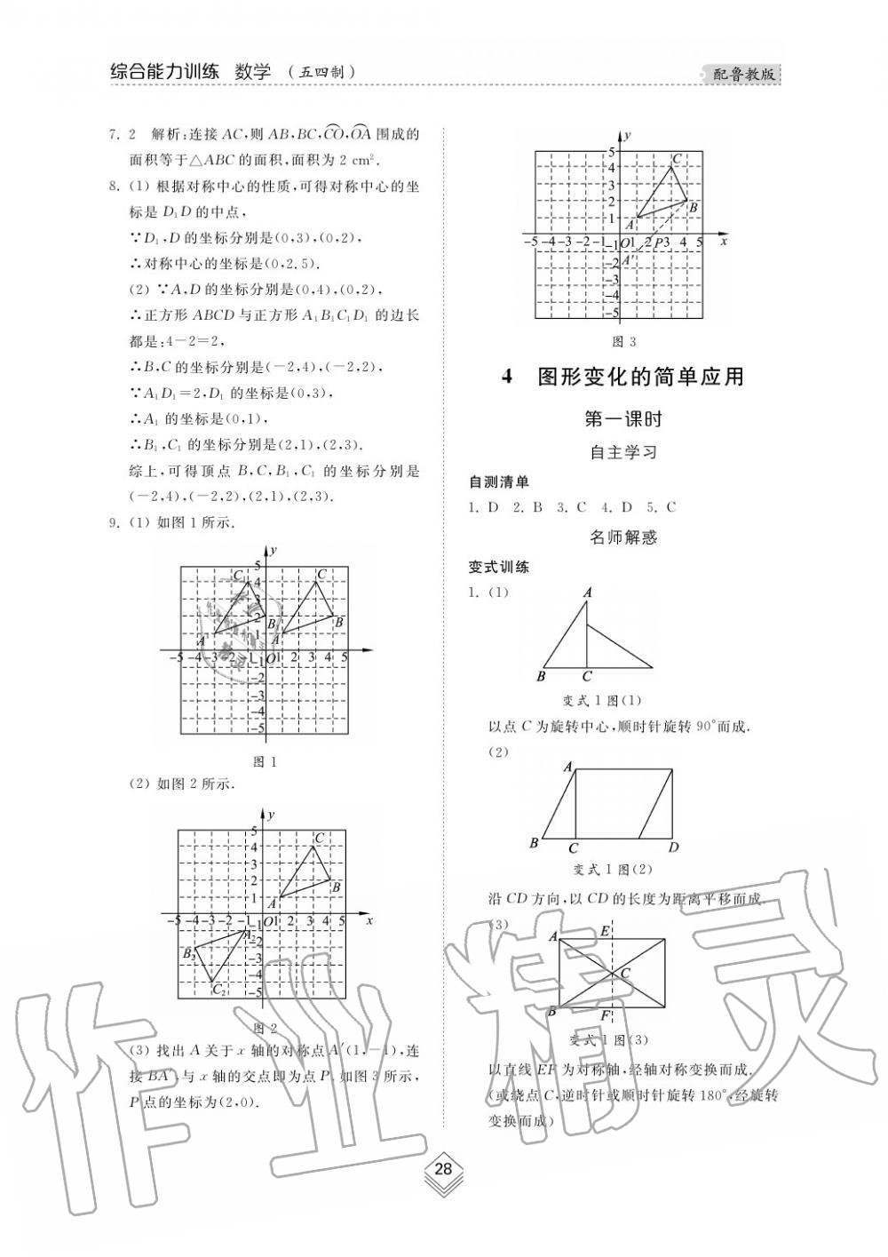 2019年综合能力训练八年级数学上册鲁教版五四制 第29页