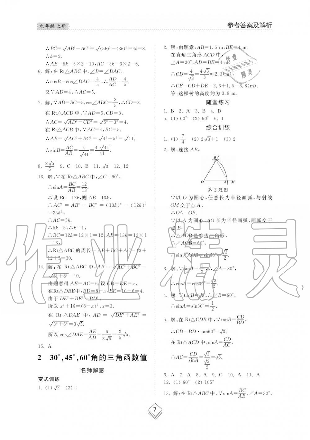 2019年综合能力训练九年级数学上册鲁教版五四制 第7页