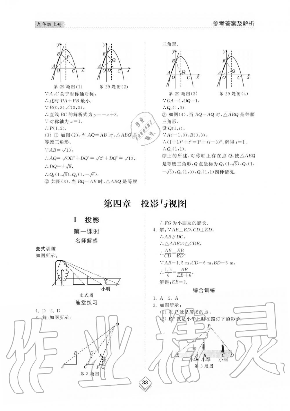 2019年综合能力训练九年级数学上册鲁教版五四制 第33页