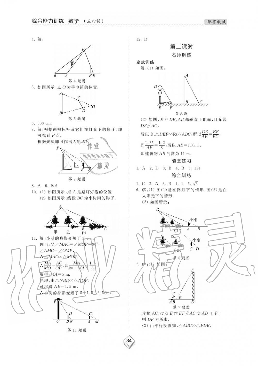 2019年综合能力训练九年级数学上册鲁教版五四制 第34页