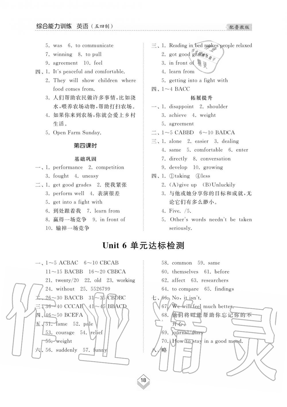 2019年綜合能力訓(xùn)練九年級英語上冊魯教版六三制 第20頁