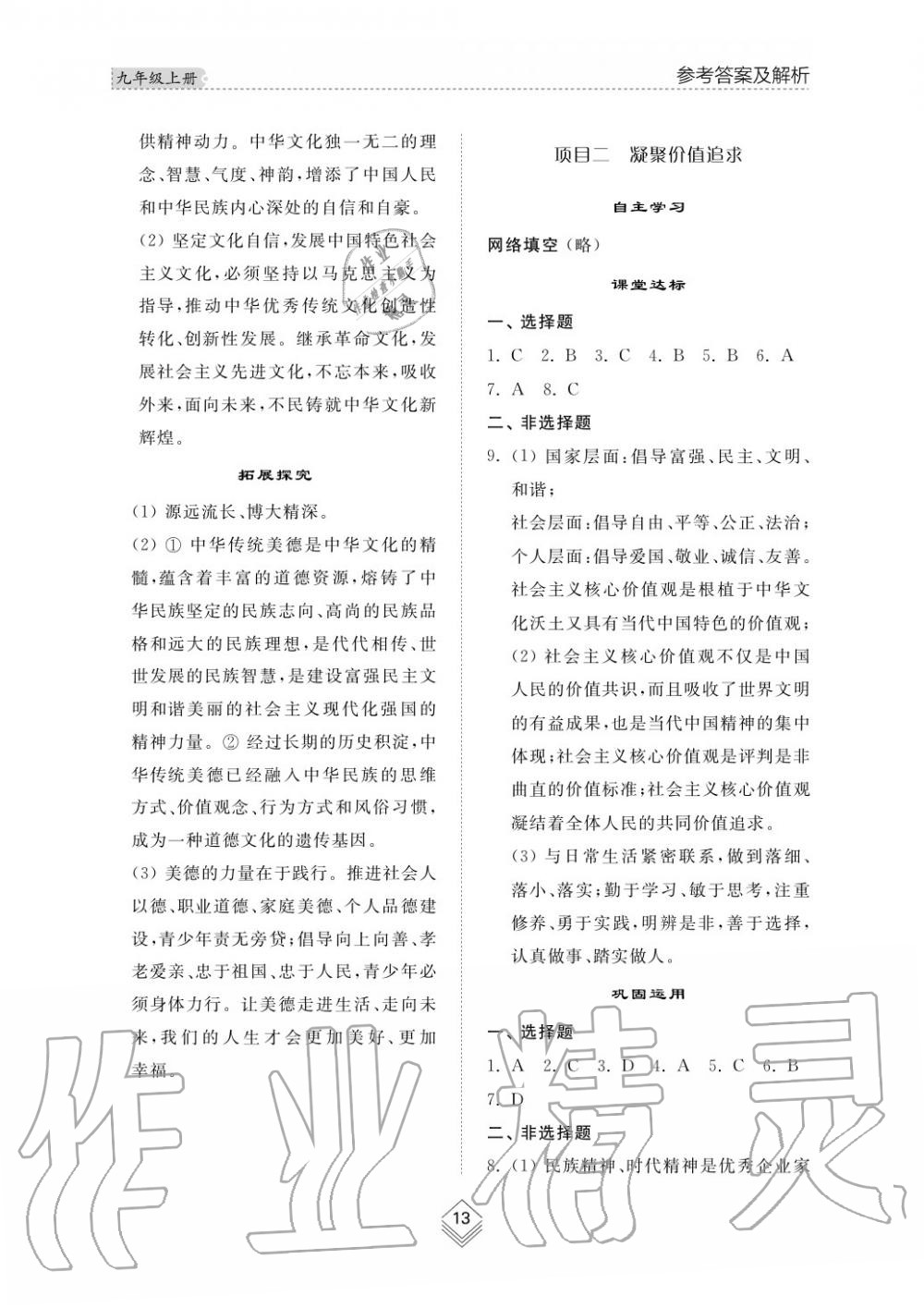 2019年综合能力训练九年级政治上册其它 第14页