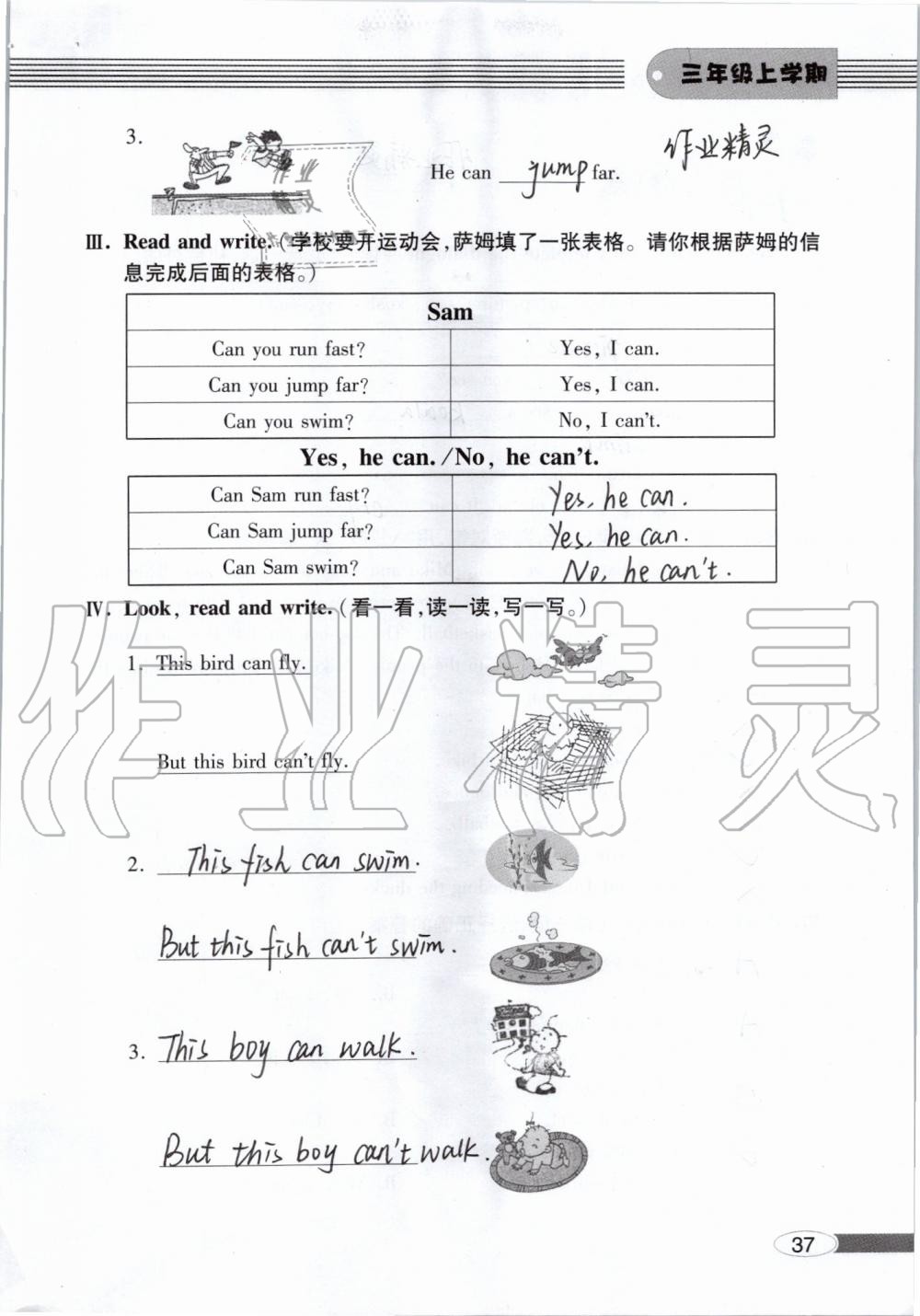 2019年新課堂同步學(xué)習(xí)與探究三年級(jí)英語上學(xué)期外研版 參考答案第37頁