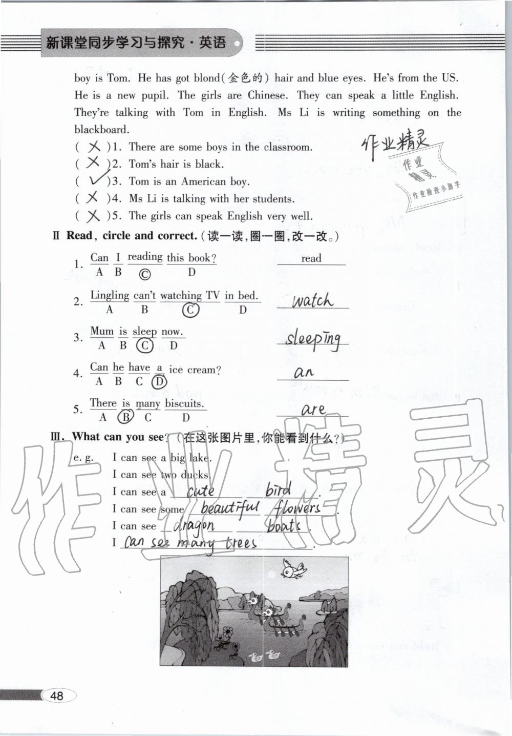 2019年新課堂同步學(xué)習(xí)與探究三年級(jí)英語(yǔ)上學(xué)期外研版 參考答案第48頁(yè)