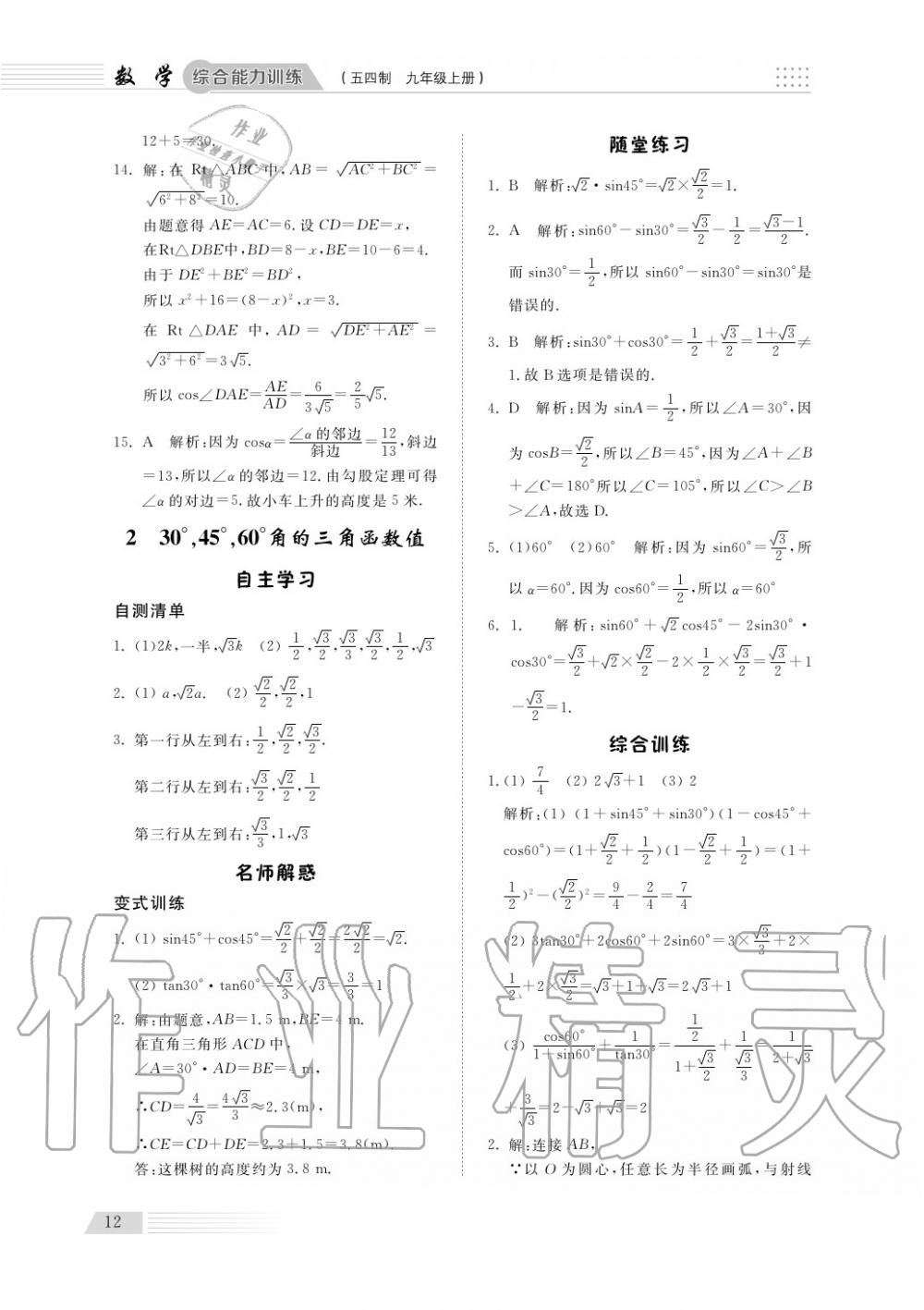 2018年综合能力训练九年级数学上册鲁科版 第13页