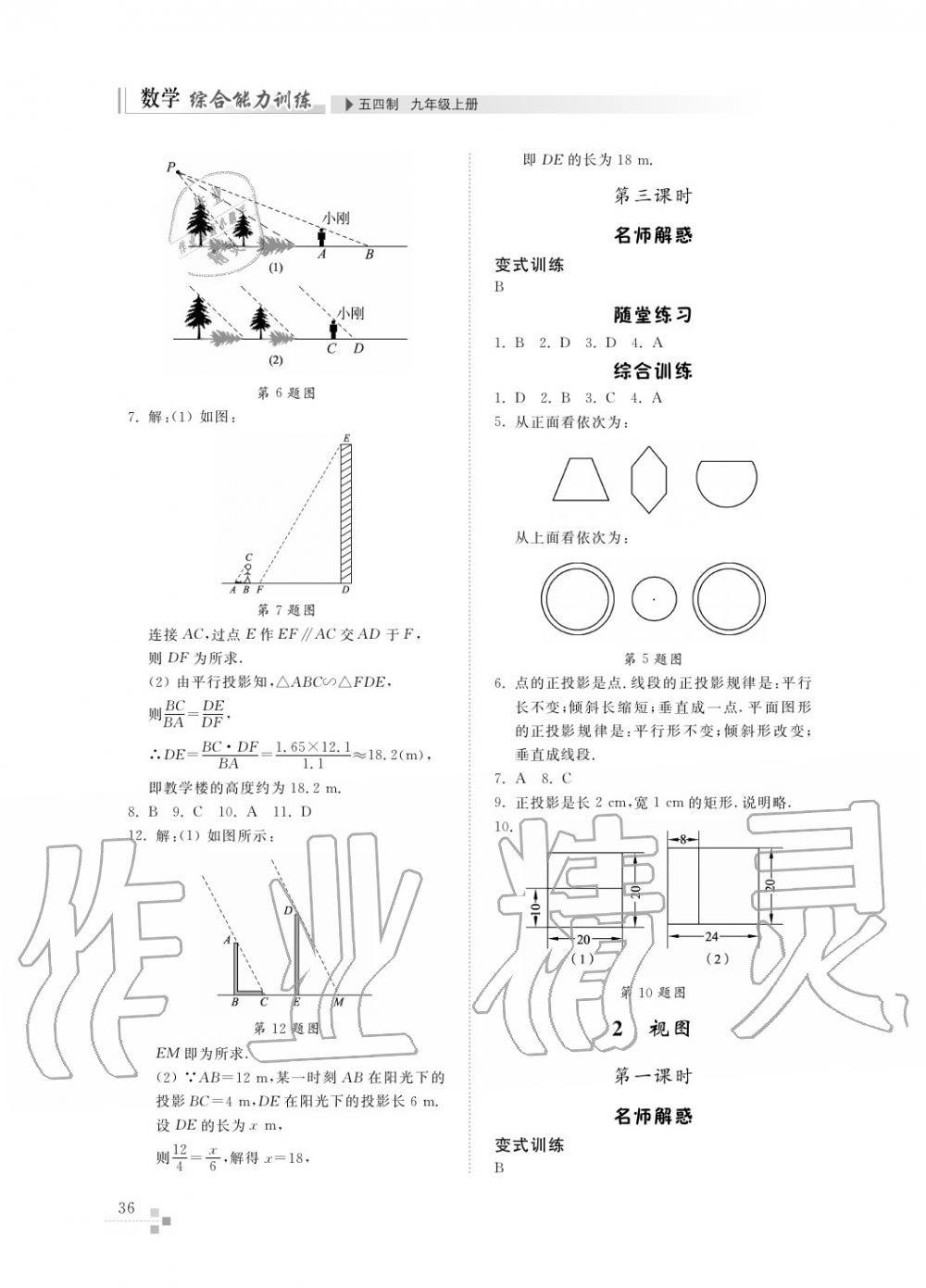 2017年綜合能力訓(xùn)練九年級(jí)數(shù)學(xué)上冊(cè)魯教版六三制 第37頁(yè)