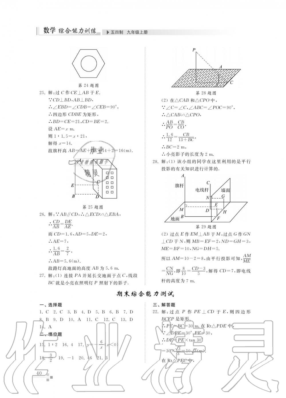 2017年綜合能力訓練九年級數(shù)學上冊魯教版六三制 第41頁