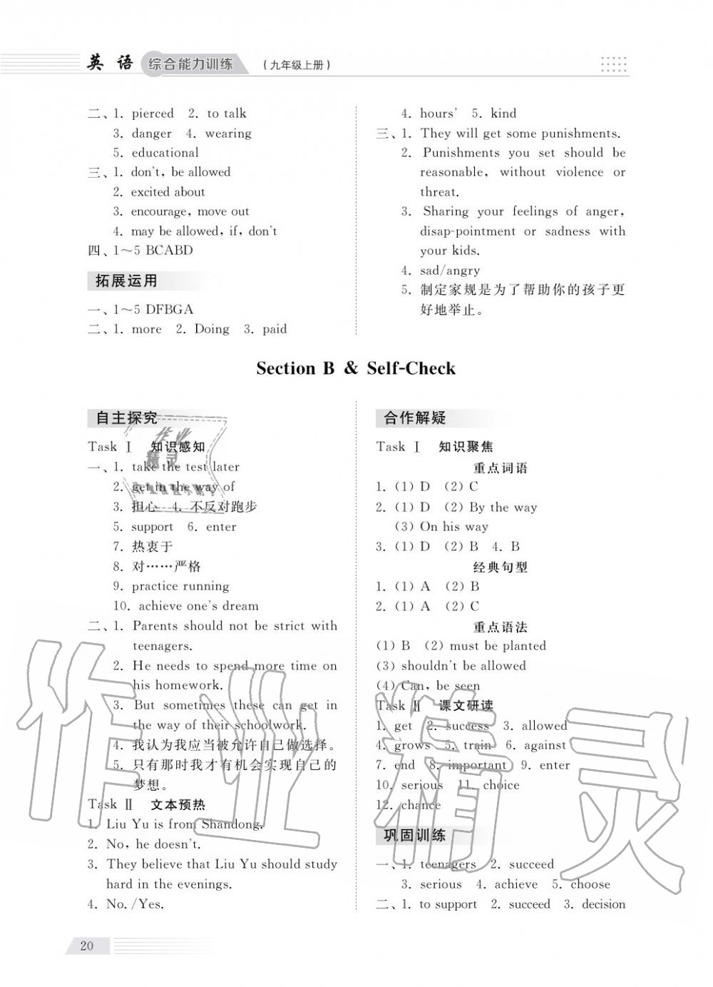 2018年綜合能力訓(xùn)練九年級英語上冊人教版 第20頁