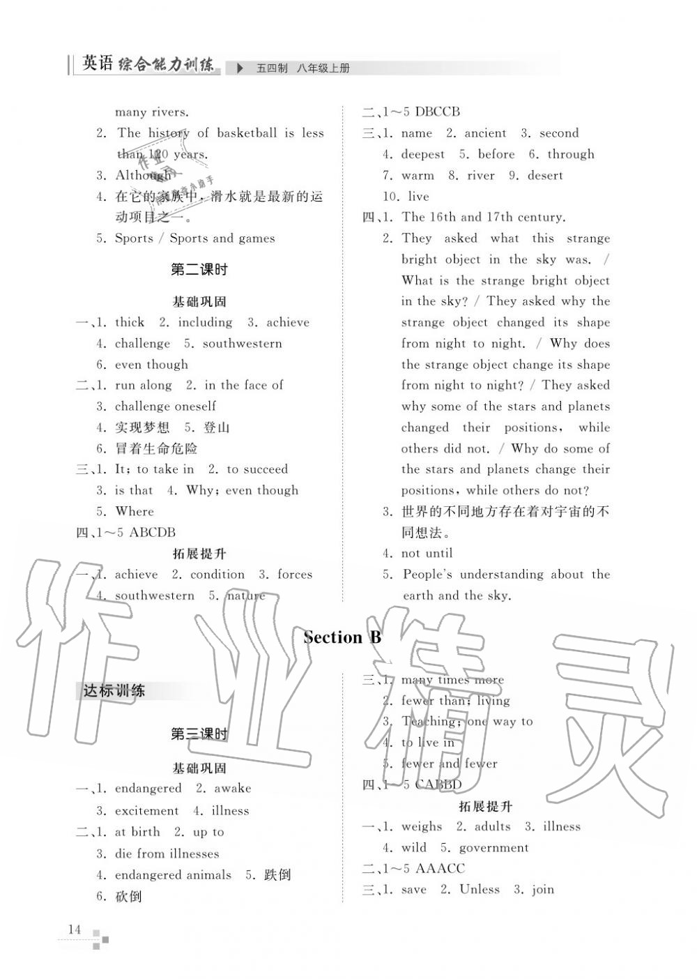 2017年綜合能力訓練八年級英語上冊魯教版六三制 第14頁