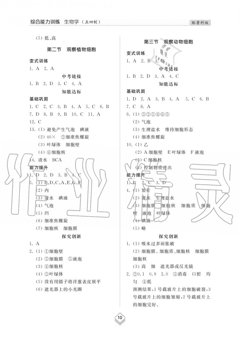 2016年综合能力训练六年级生物学上册鲁科版五四制 第10页