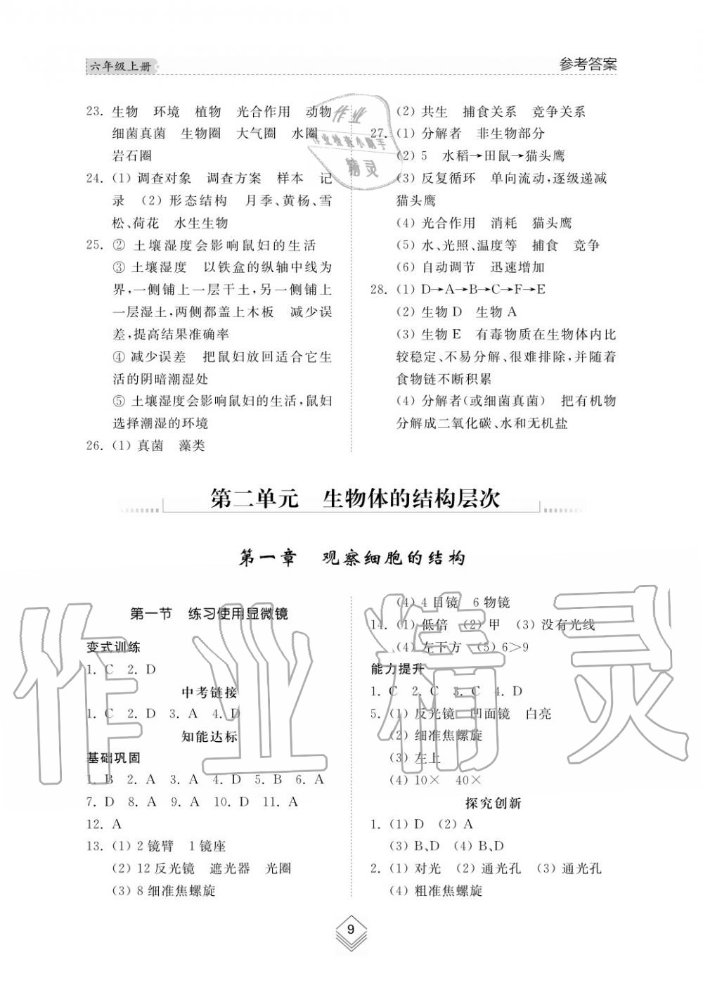 2016年綜合能力訓(xùn)練六年級(jí)生物學(xué)上冊(cè)魯科版五四制 第9頁(yè)