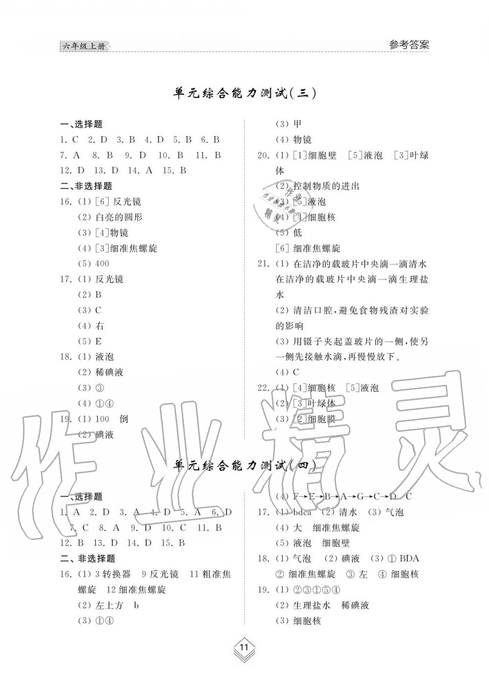 2016年綜合能力訓(xùn)練六年級(jí)生物學(xué)上冊(cè)魯科版五四制 第11頁(yè)