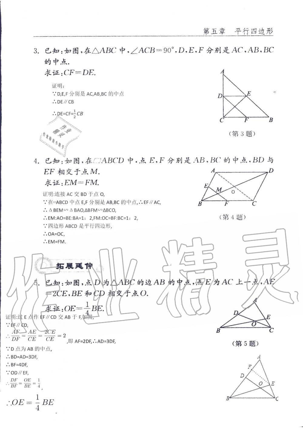 2019年配套練習(xí)冊(cè)八年級(jí)數(shù)學(xué)上冊(cè)魯教版 第141頁(yè)