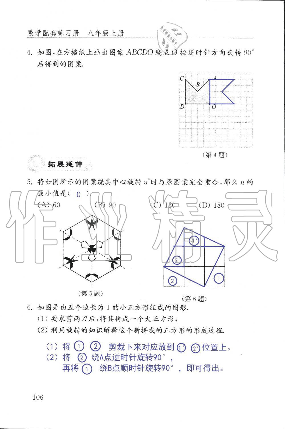 2019年配套練習(xí)冊(cè)八年級(jí)數(shù)學(xué)上冊(cè)魯教版 第106頁