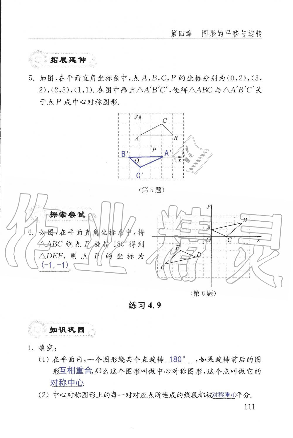 2019年配套練習(xí)冊八年級數(shù)學(xué)上冊魯教版 第111頁