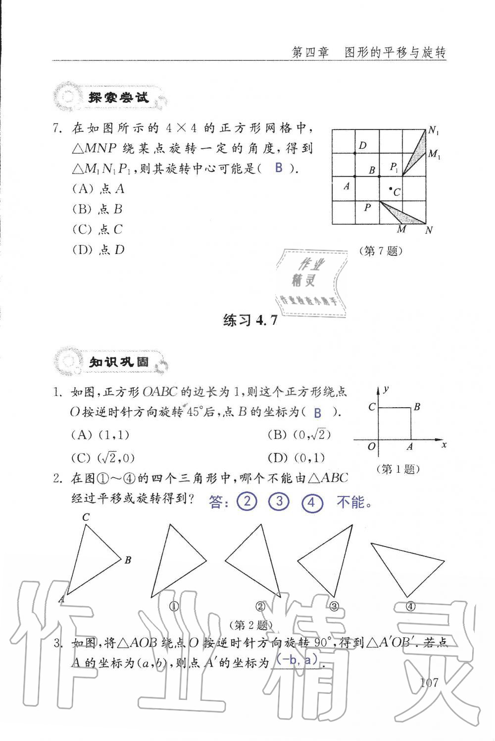 2019年配套練習(xí)冊八年級數(shù)學(xué)上冊魯教版 第107頁