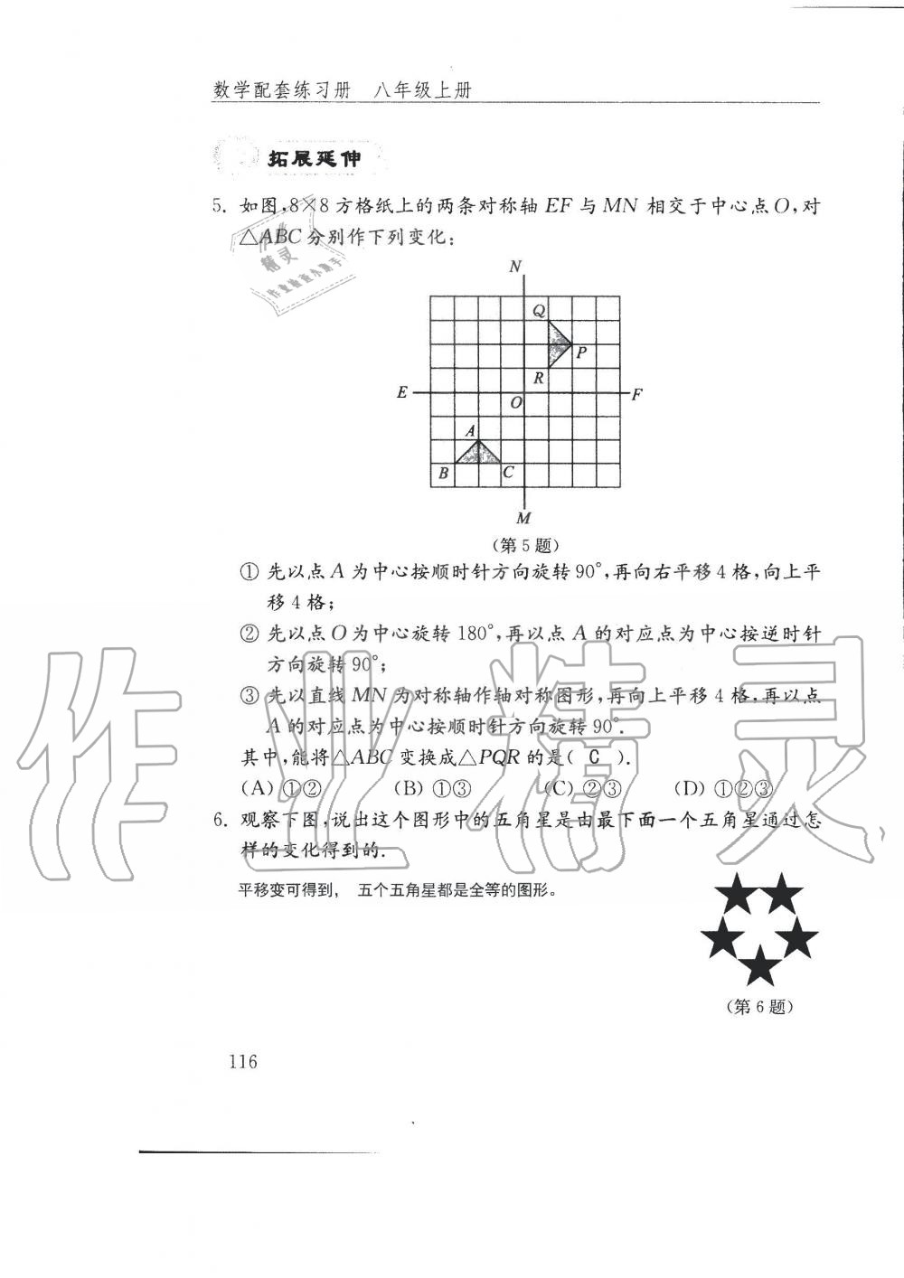 2019年配套練習(xí)冊八年級數(shù)學(xué)上冊魯教版 第116頁