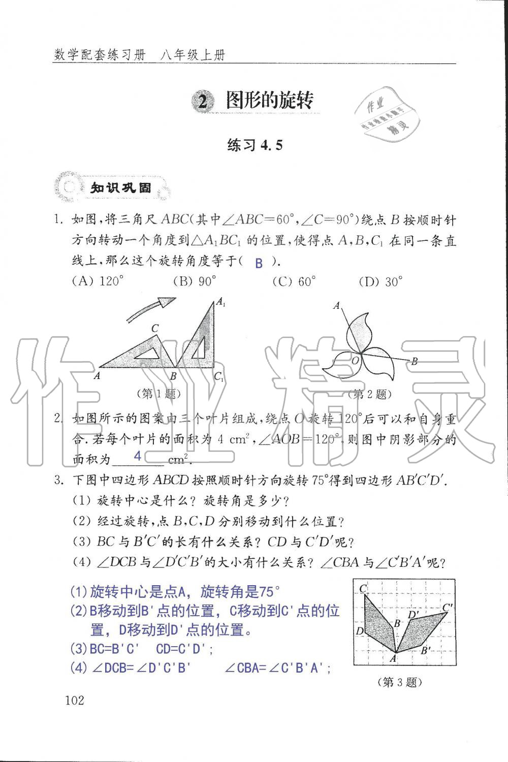 2019年配套練習冊八年級數學上冊魯教版 第102頁