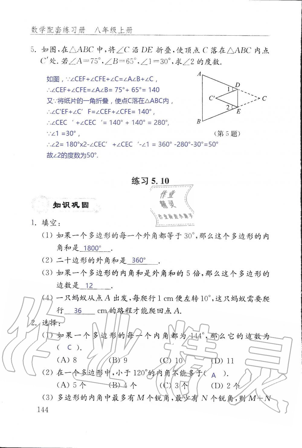 2019年配套練習(xí)冊(cè)八年級(jí)數(shù)學(xué)上冊(cè)魯教版 第144頁(yè)