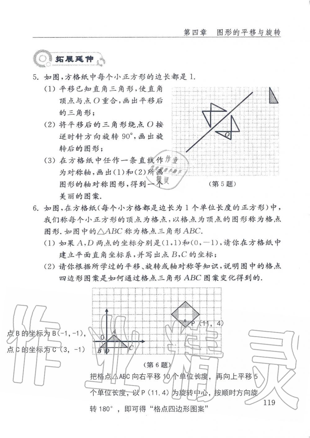 2019年配套練習(xí)冊(cè)八年級(jí)數(shù)學(xué)上冊(cè)魯教版 第119頁