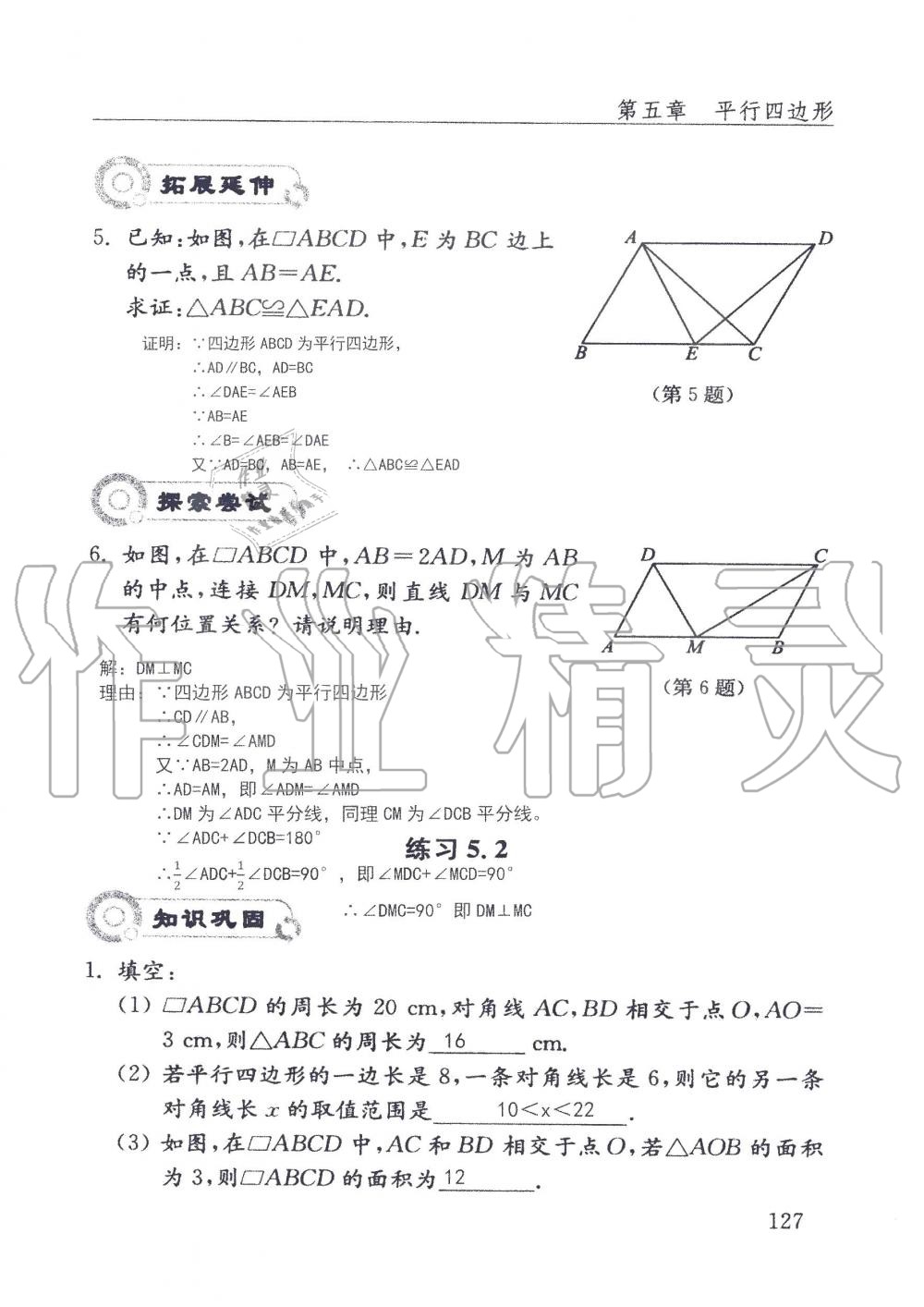 2019年配套練習冊八年級數學上冊魯教版 第127頁