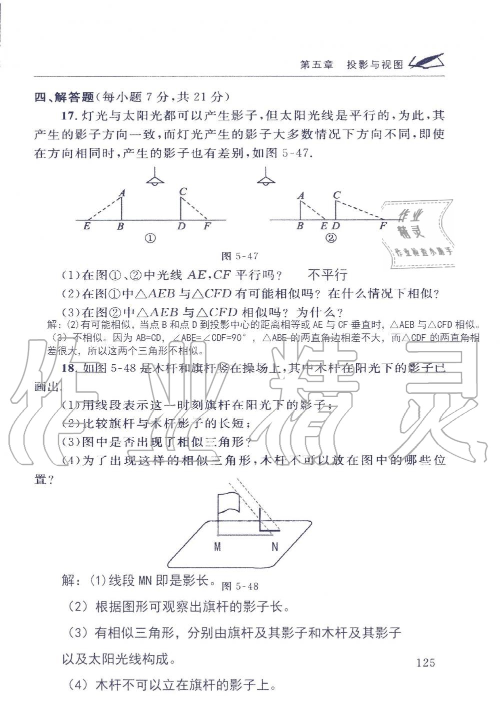 2019年配套练习册九年级数学上册北师大版 第125页