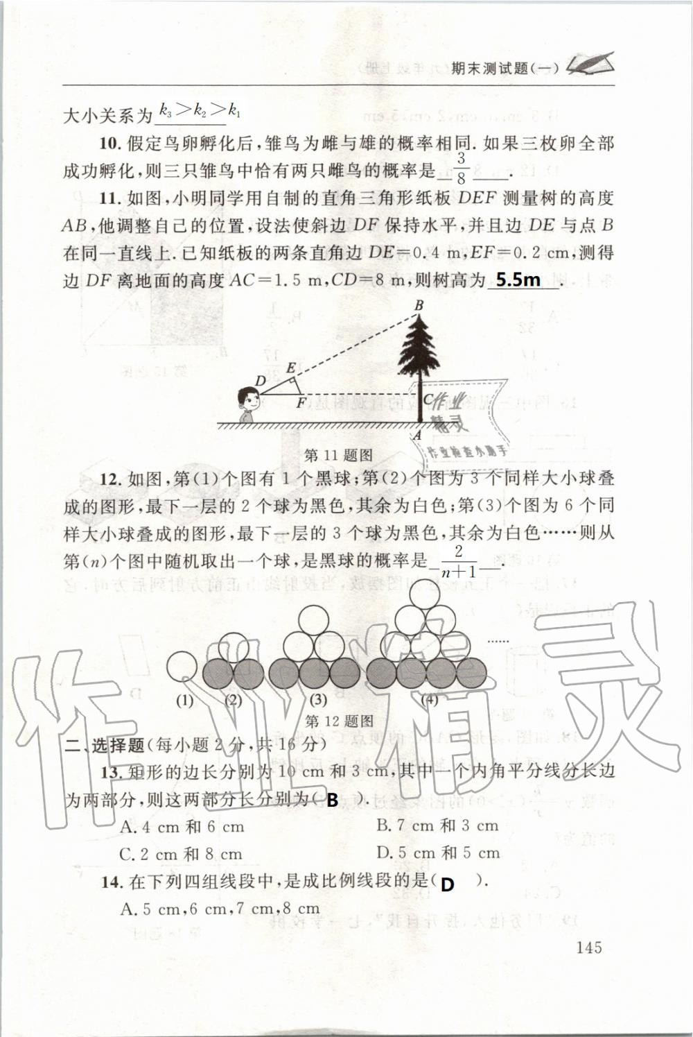 2019年配套练习册九年级数学上册北师大版 第145页