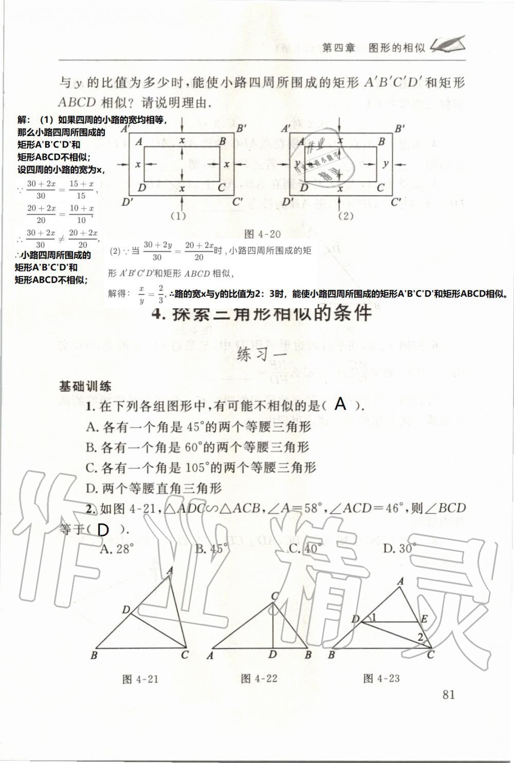 2019年配套练习册九年级数学上册北师大版 第81页