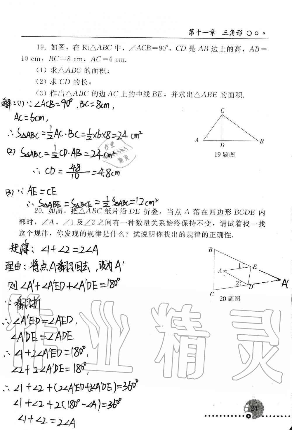 2019年配套练习册八年级数学上册人教版 第21页