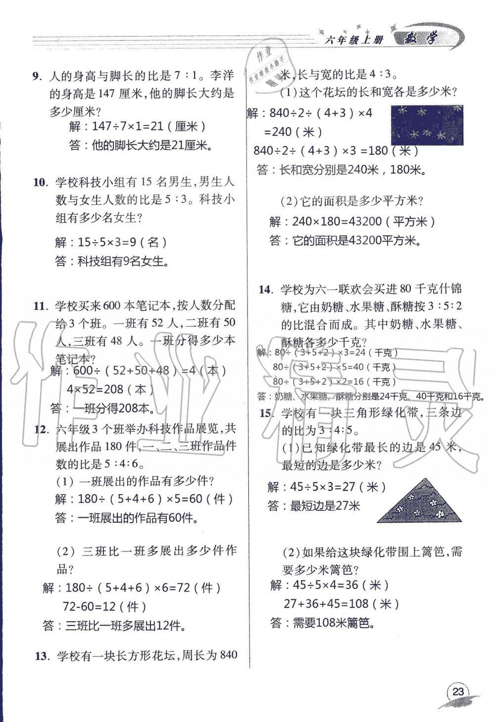 2019年配套练习册六年级数学上册青岛版 第23页