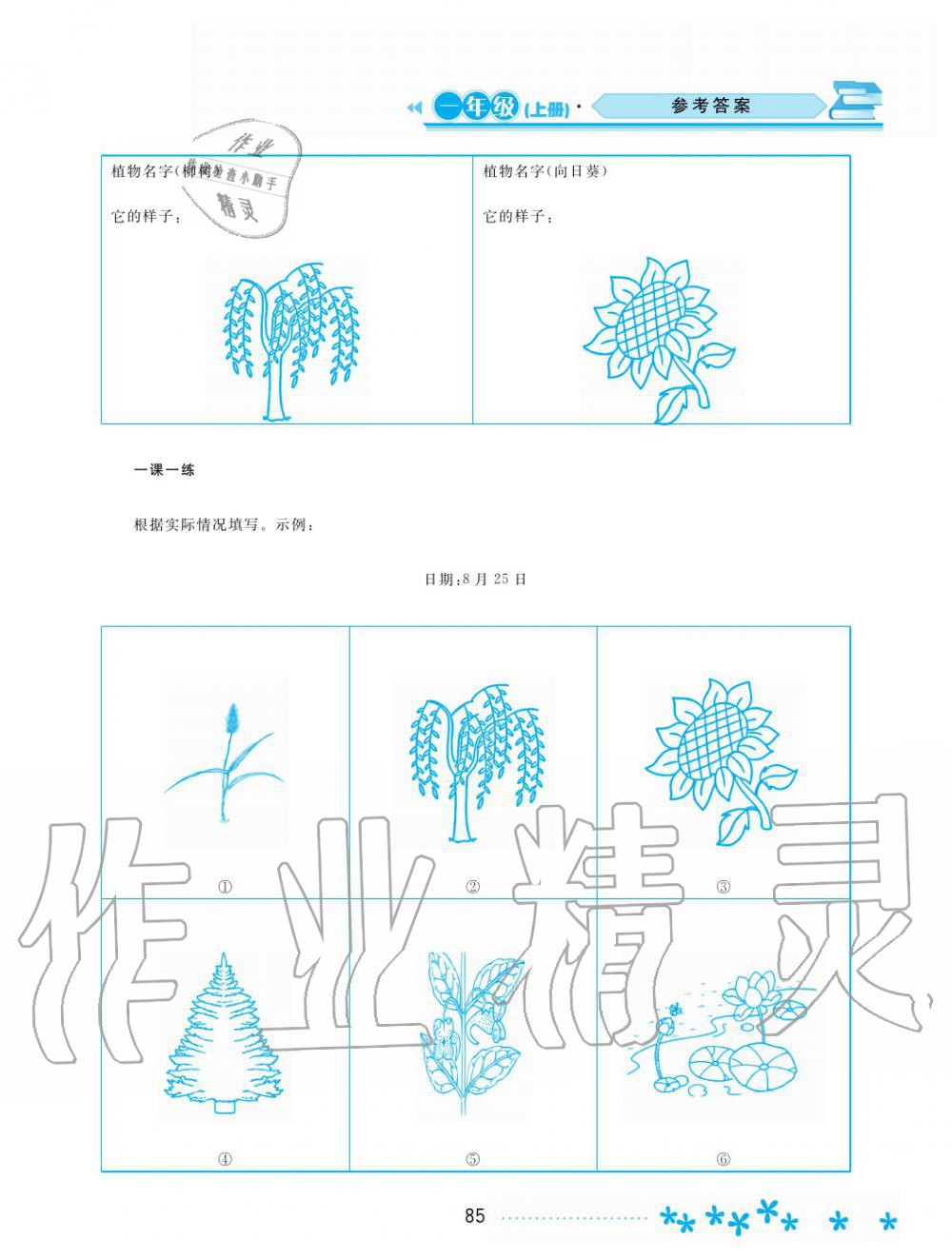 2019年資源與評(píng)價(jià)一年級(jí)科學(xué)上冊(cè)教科版 第5頁(yè)