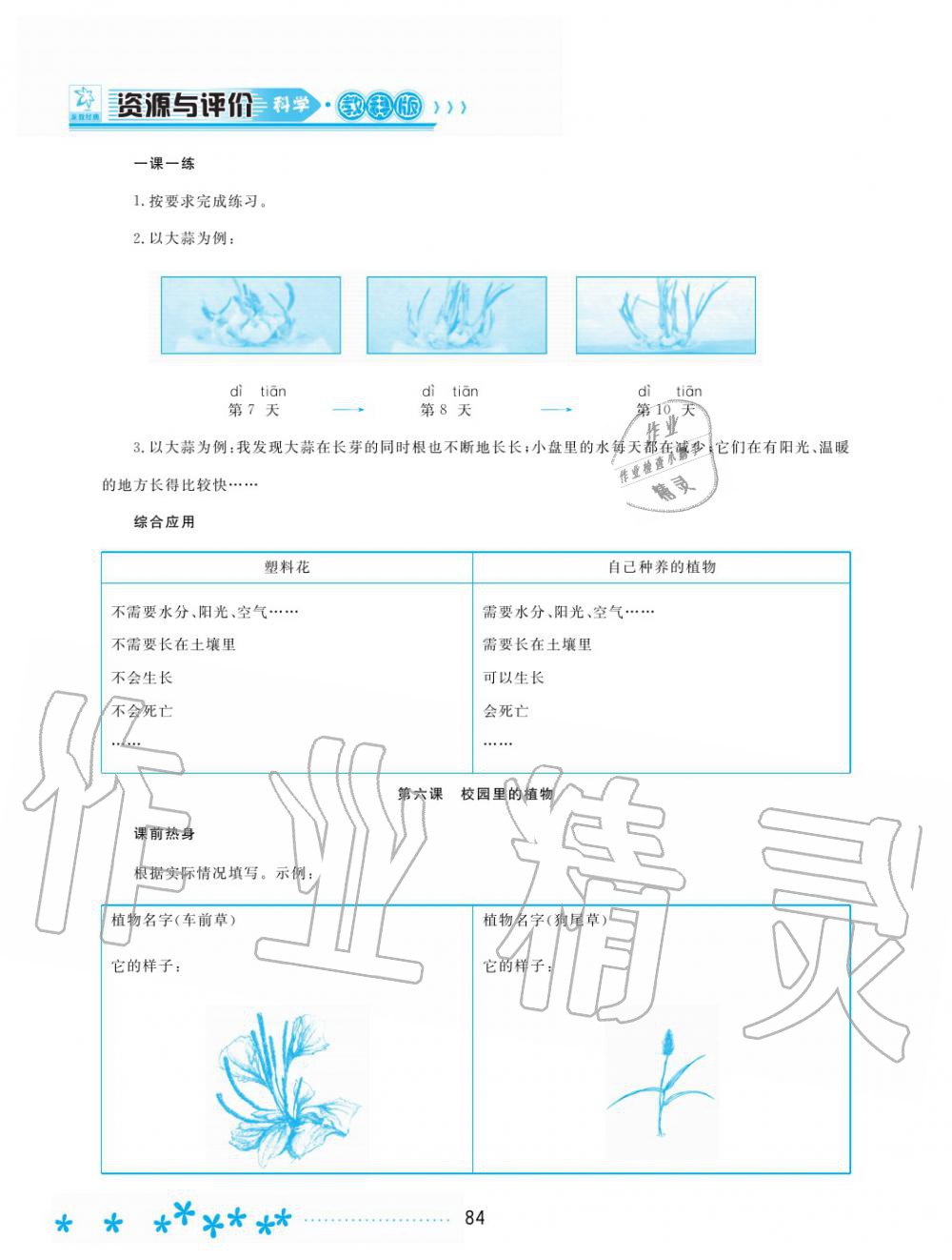 2019年資源與評價(jià)一年級科學(xué)上冊教科版 第4頁