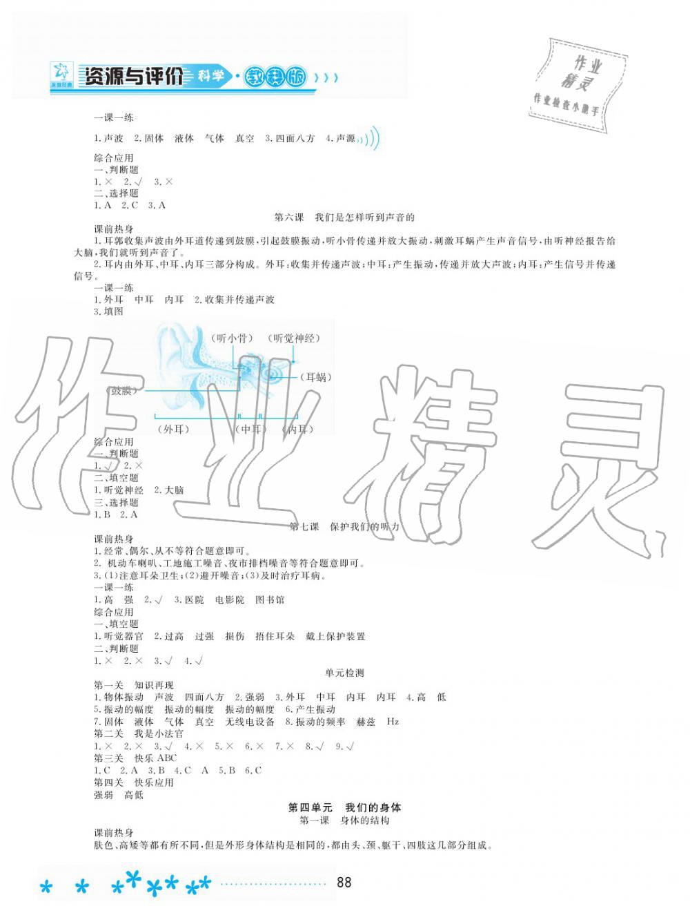 2019年資源與評價四年級科學(xué)上冊教科版 第7頁