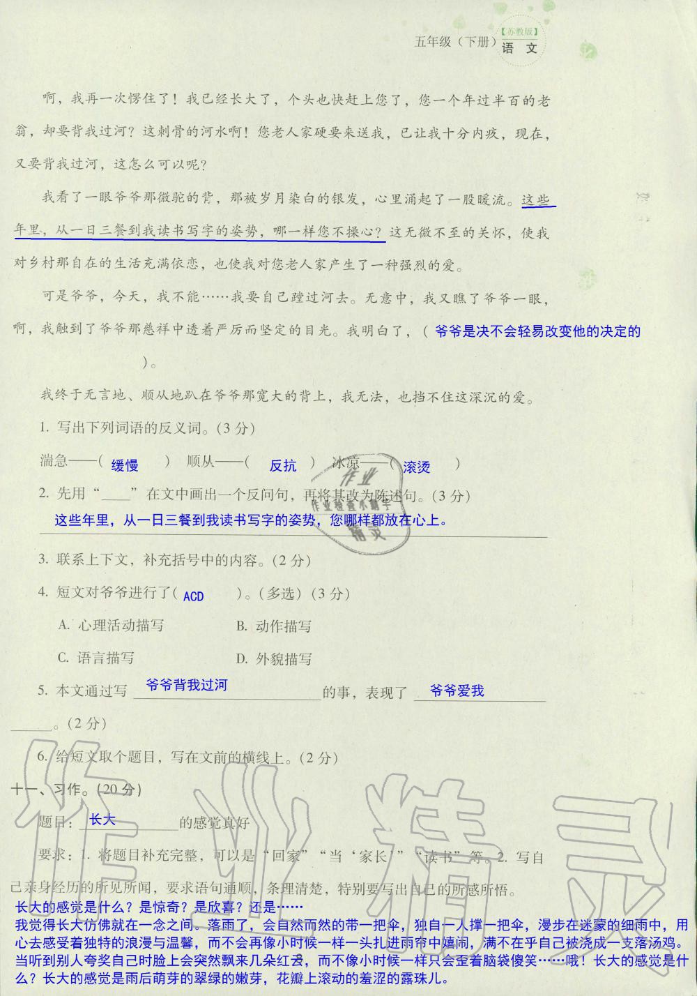 2019年云南省标准教辅同步指导训练与检测五年级语文苏教版 参考答案第90页