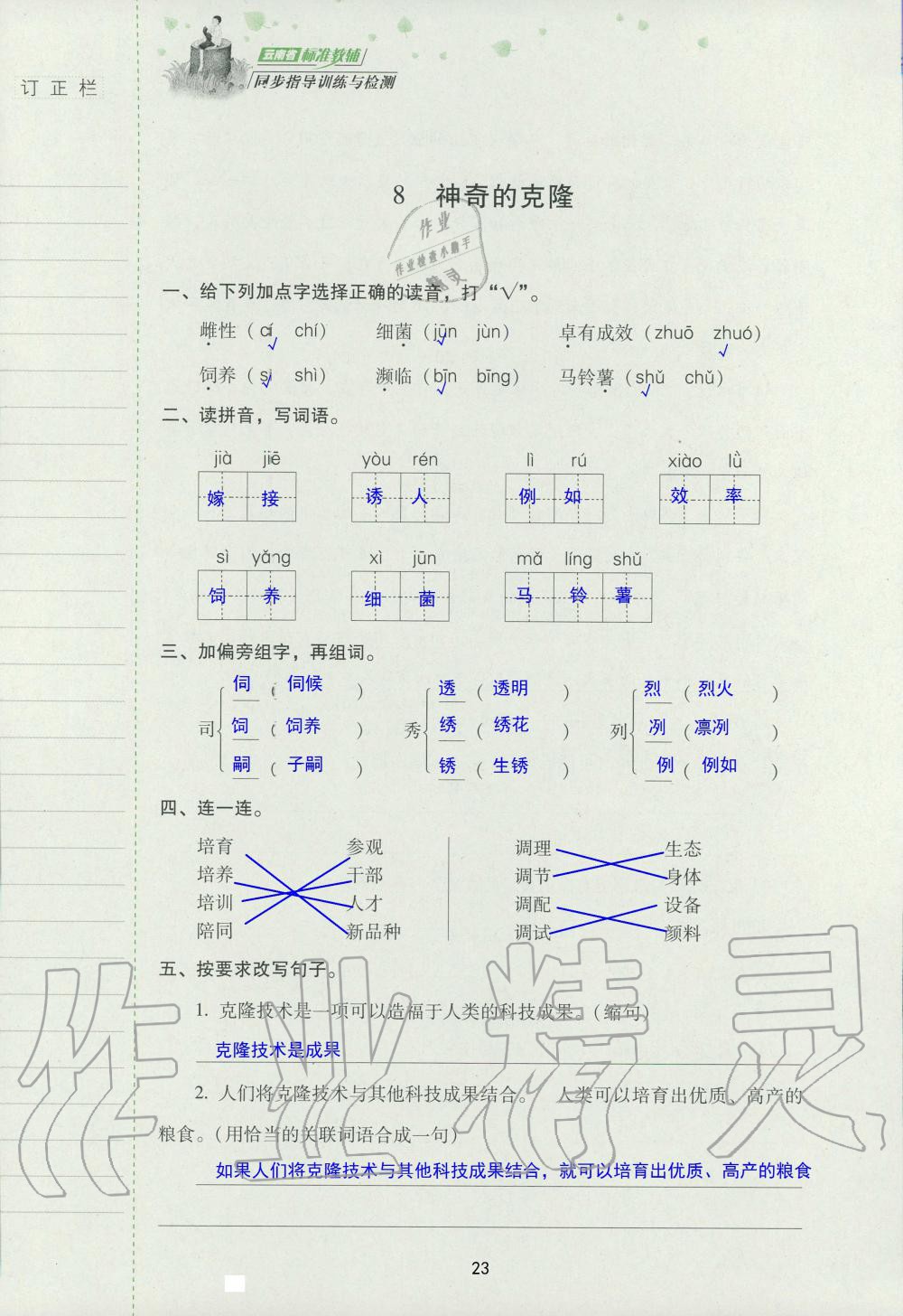 2019年云南省标准教辅同步指导训练与检测五年级语文苏教版 参考答案第22页