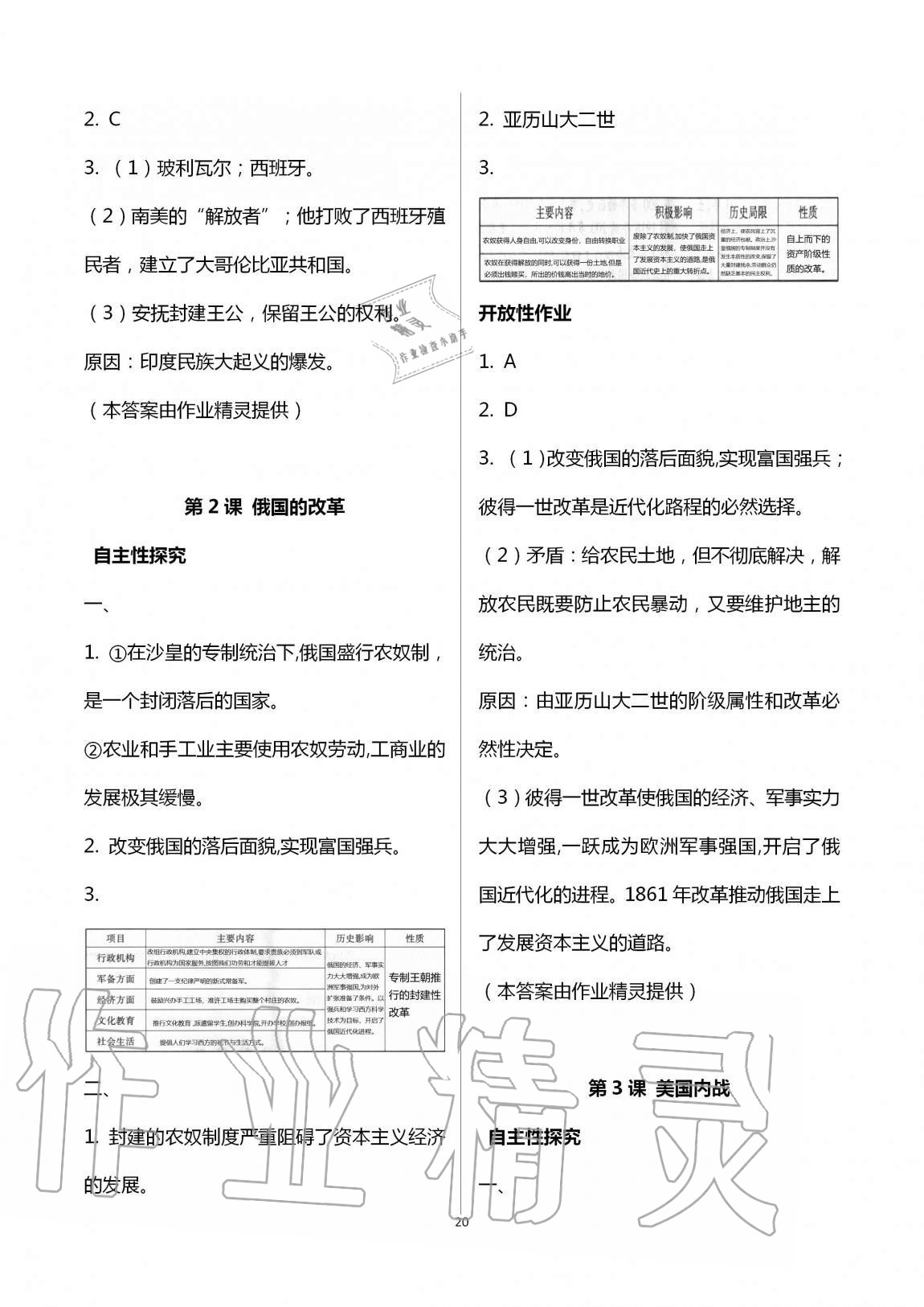 2019年自主学习指导课程九年级世界历史全一册人教版 第20页