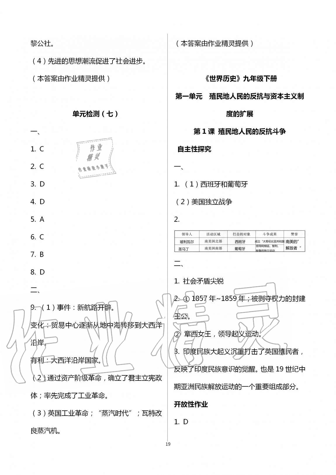 2019年自主学习指导课程九年级世界历史全一册人教版 第19页