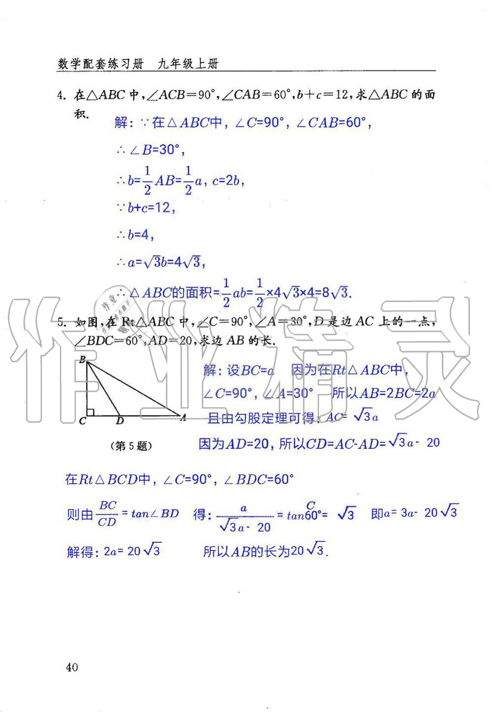 2019年數(shù)學(xué)配套練習(xí)冊九年級上冊魯教版 第40頁