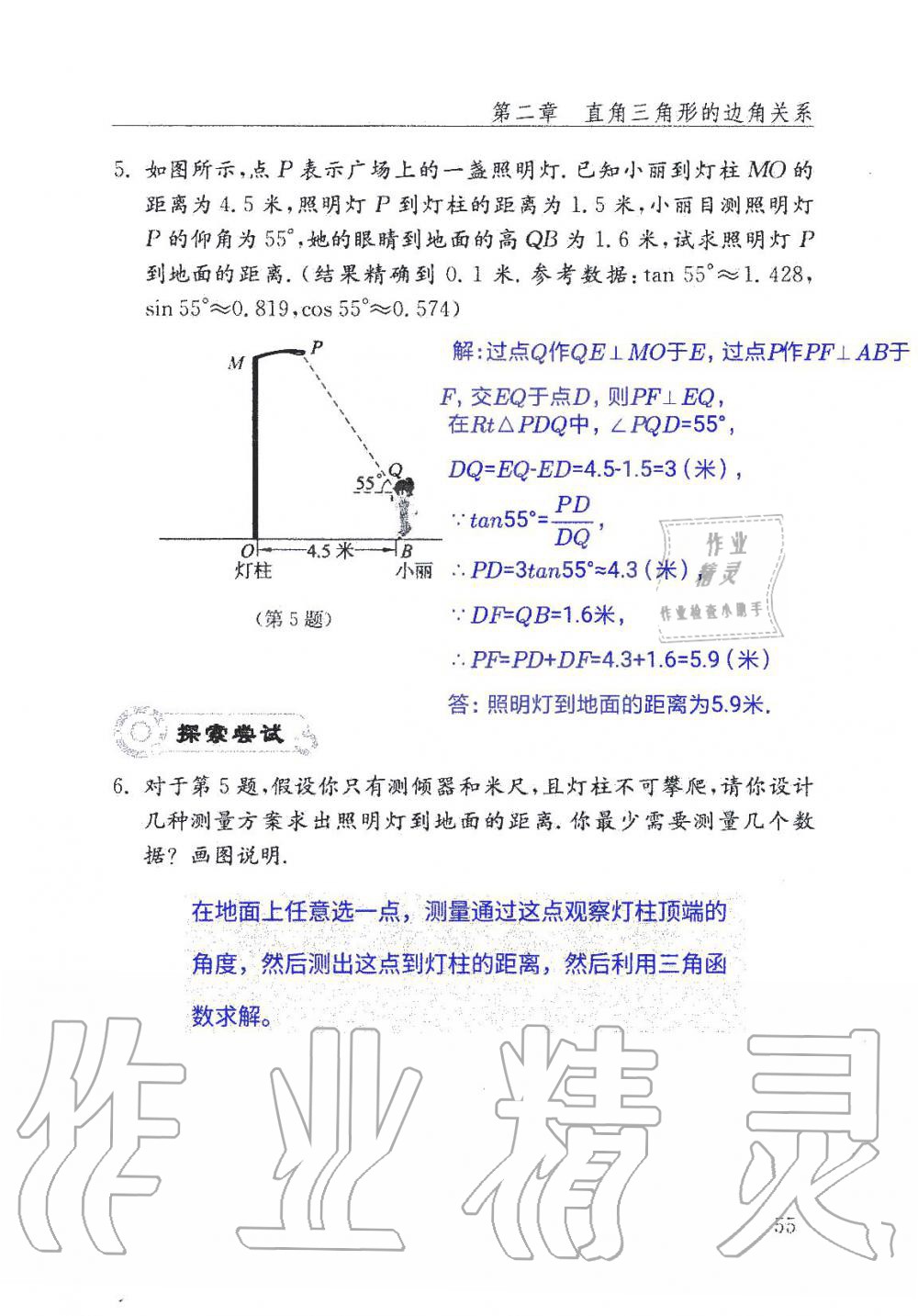 2019年數(shù)學(xué)配套練習(xí)冊(cè)九年級(jí)上冊(cè)魯教版 第55頁(yè)