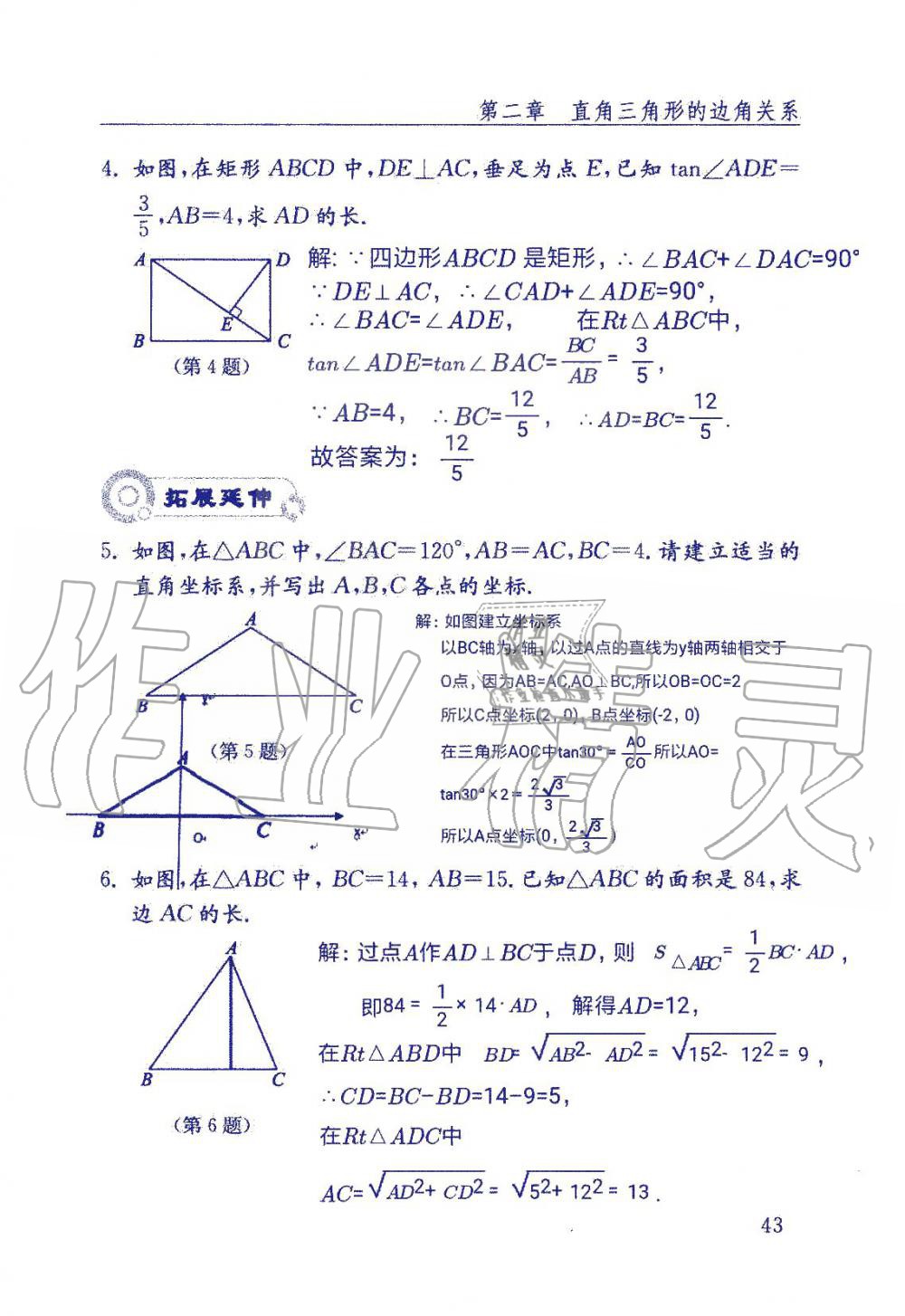 2019年數(shù)學(xué)配套練習(xí)冊(cè)九年級(jí)上冊(cè)魯教版 第43頁