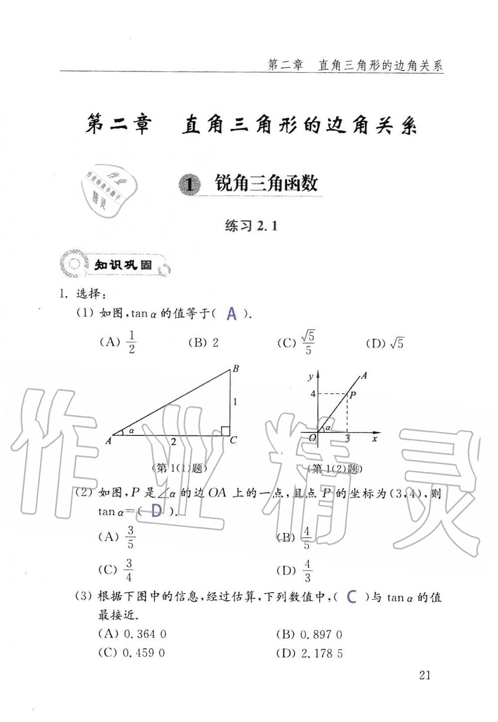 2019年數(shù)學(xué)配套練習(xí)冊九年級上冊魯教版 第21頁