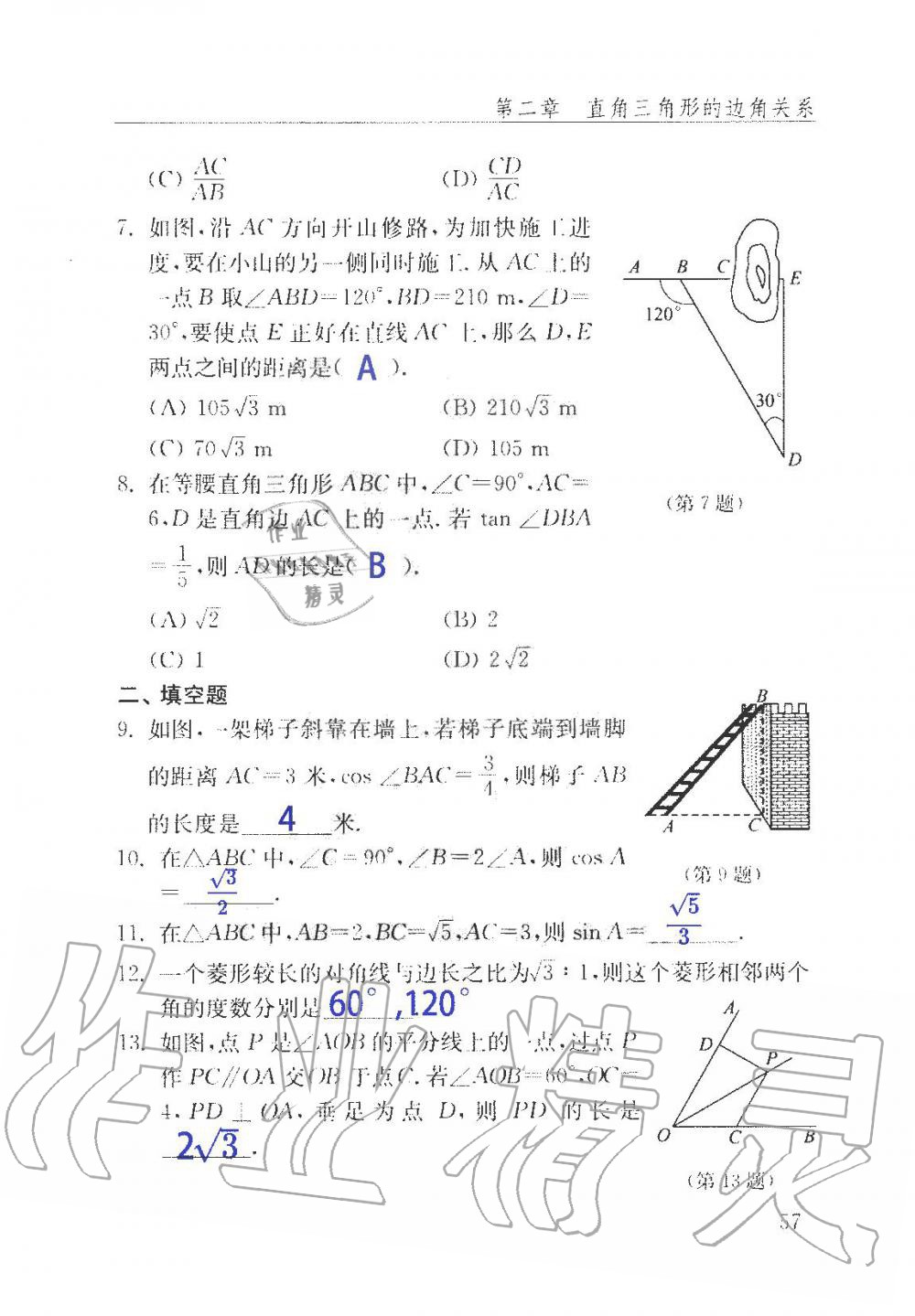 2019年數(shù)學配套練習冊九年級上冊魯教版 第57頁