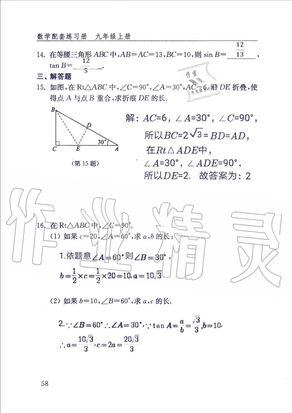 2019年數(shù)學配套練習冊九年級上冊魯教版 第58頁