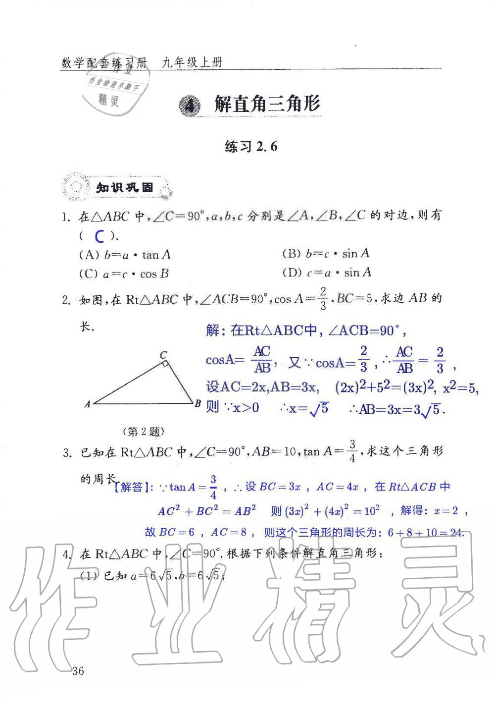 2019年數(shù)學配套練習冊九年級上冊魯教版 第36頁