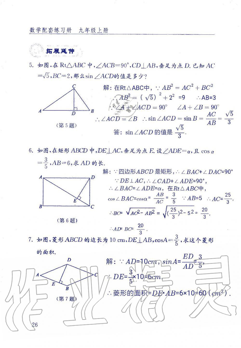 2019年數(shù)學(xué)配套練習(xí)冊九年級(jí)上冊魯教版 第26頁