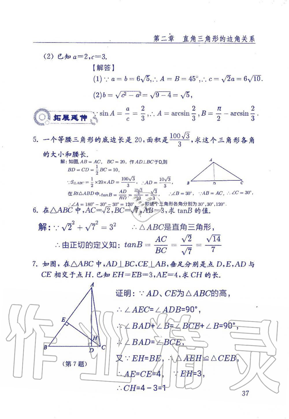 2019年數(shù)學(xué)配套練習(xí)冊九年級上冊魯教版 第37頁