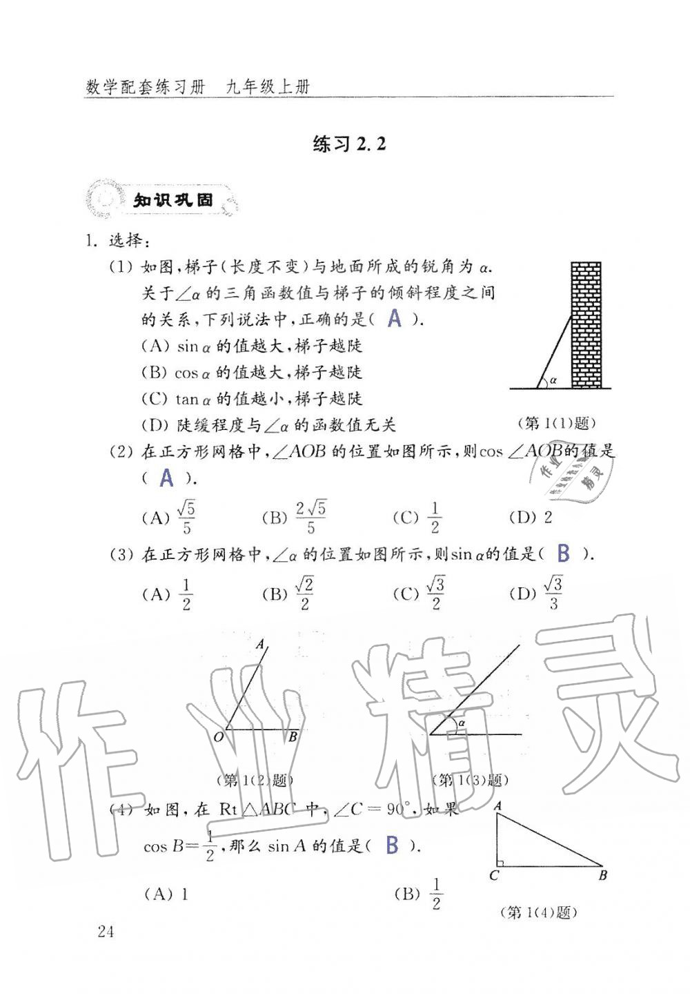 2019年數(shù)學(xué)配套練習(xí)冊(cè)九年級(jí)上冊(cè)魯教版 第24頁(yè)