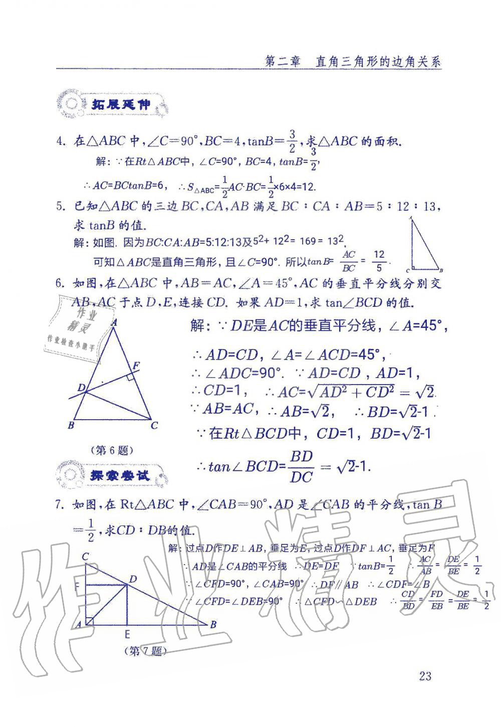 2019年數(shù)學(xué)配套練習(xí)冊九年級(jí)上冊魯教版 第23頁